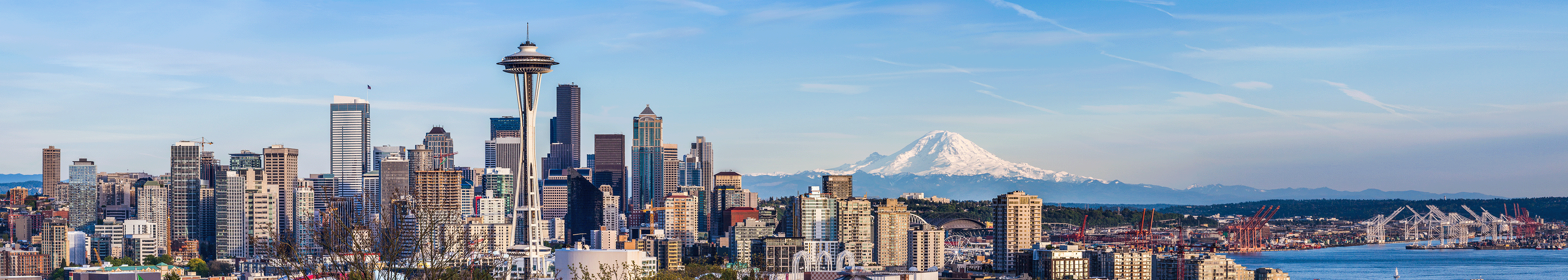 Seattle Skyline