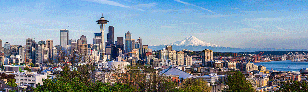 Seattle Skyline