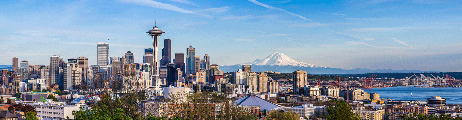 Seattle Skyline